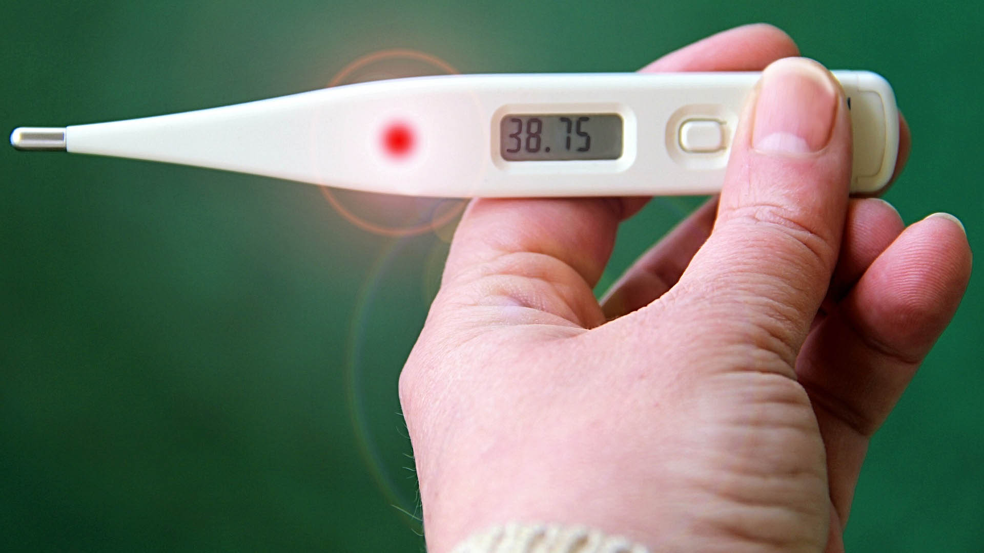 Ministerstwo Zdrowia ogłasza 30 i 31 grudnia Dniami Zapobiegania Dendze